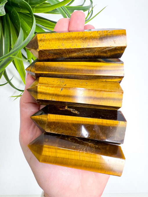 Tigers Eye point