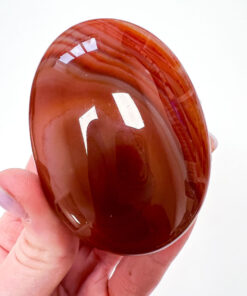 Carnelian palm