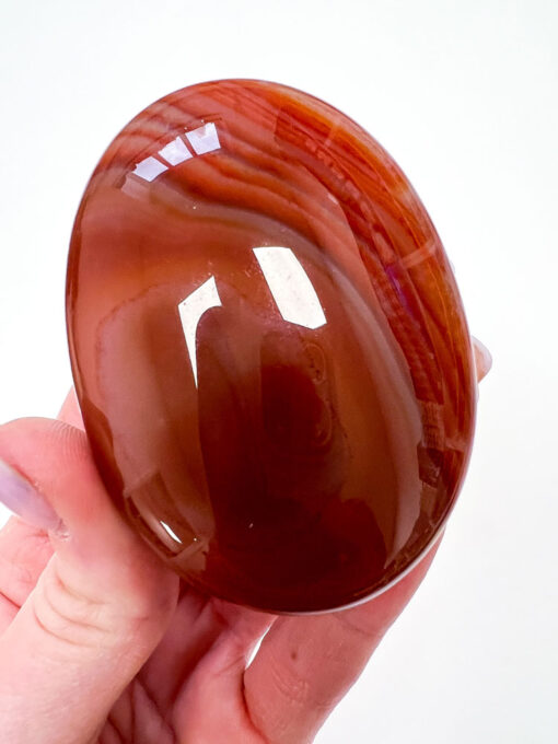 Carnelian palm