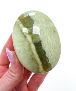 Green Jade palm