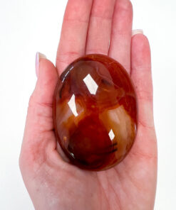 Carnelian palm