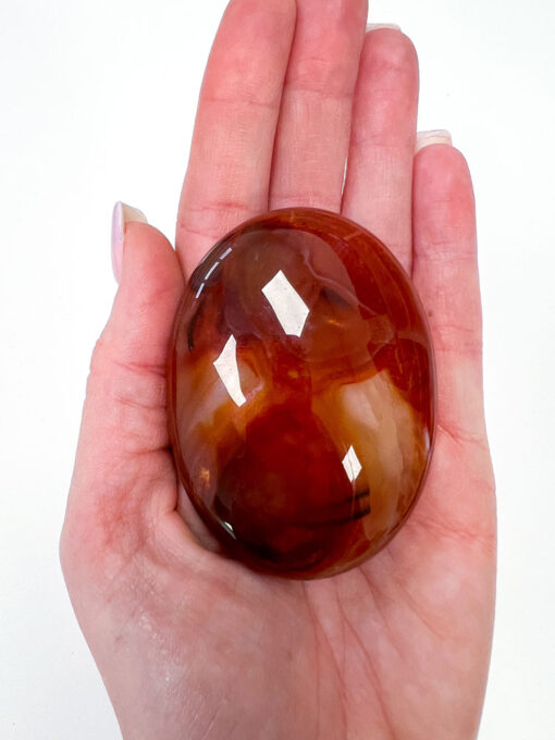 Carnelian palm