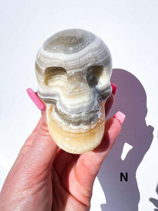 Zebra Calcite Skulls | K-O - Image 11