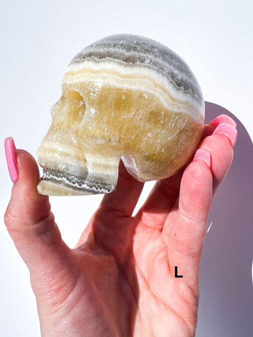 Zebra Calcite Skulls | K-O - Image 7