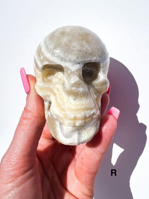 Zebra Calcite Skulls | P-R - Image 8