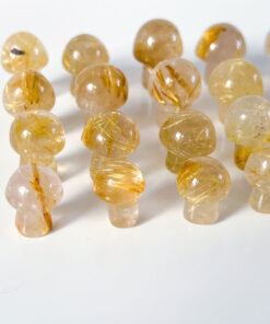 Rutilated Quartz mushroom