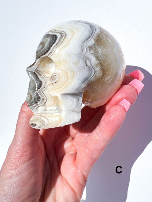 Zebra Calcite Skulls | A-E - Image 8