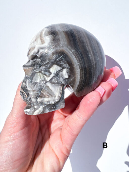 Zebra Calcite Skulls | A-E - Image 5