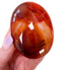 Carnelian palm