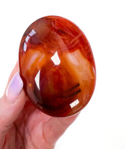 Carnelian palm