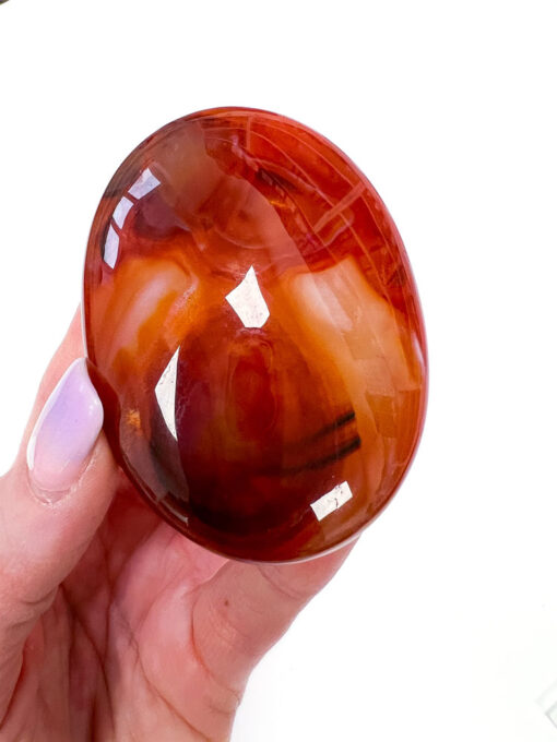 Carnelian palm