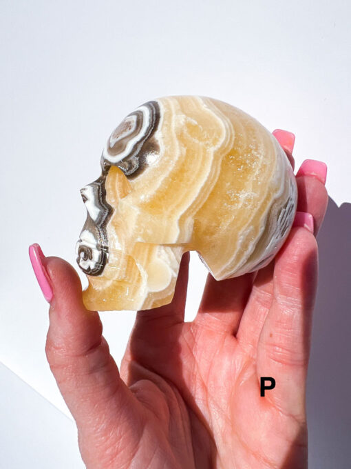 Zebra Calcite Skulls | P-R - Image 2