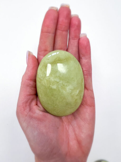 Green Jade palm