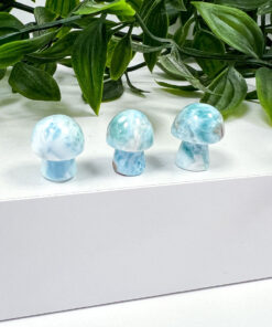 Larimar mushrooms