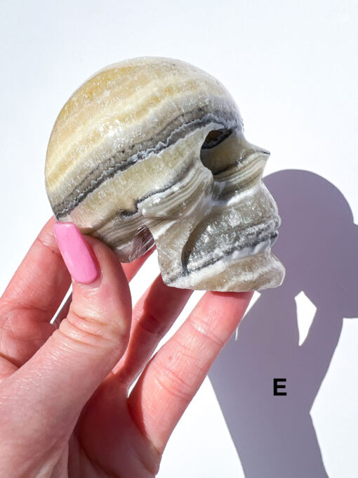 Zebra Calcite Skulls | A-E - Image 14