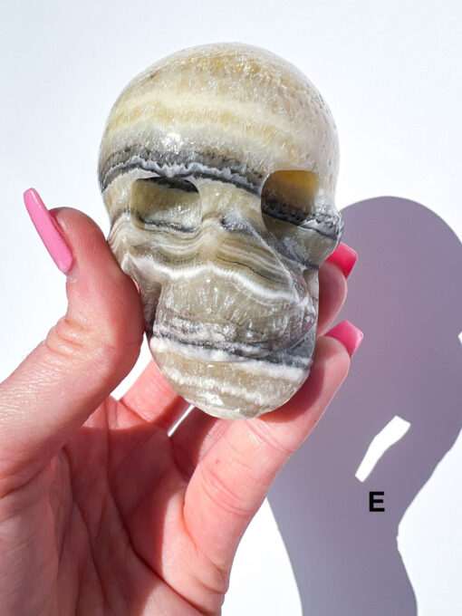 Zebra Calcite Skulls | A-E - Image 15