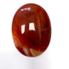 Carnelian palm