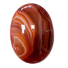 Carnelian palm