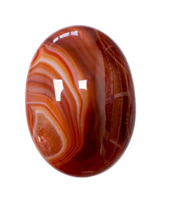 Carnelian palm