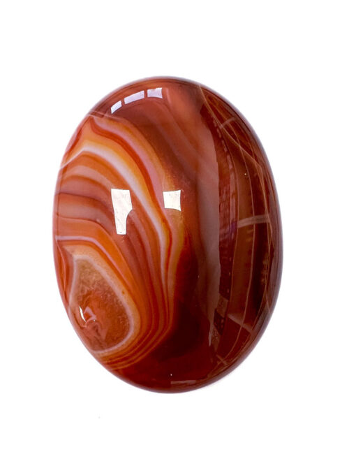 Carnelian palm