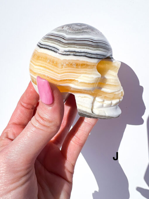 Zebra Calcite Skulls | F-J - Image 13