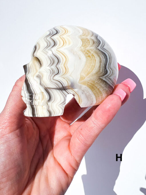 Zebra Calcite Skulls | F-J - Image 8