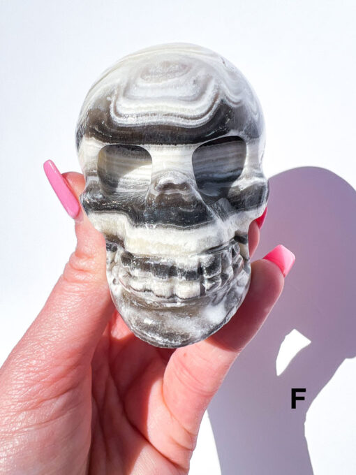 Zebra Calcite Skulls | F-J - Image 3