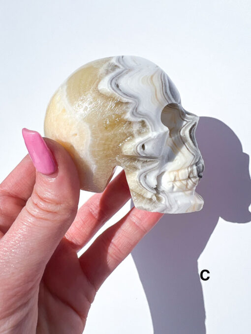 Zebra Calcite Skulls | A-E - Image 9