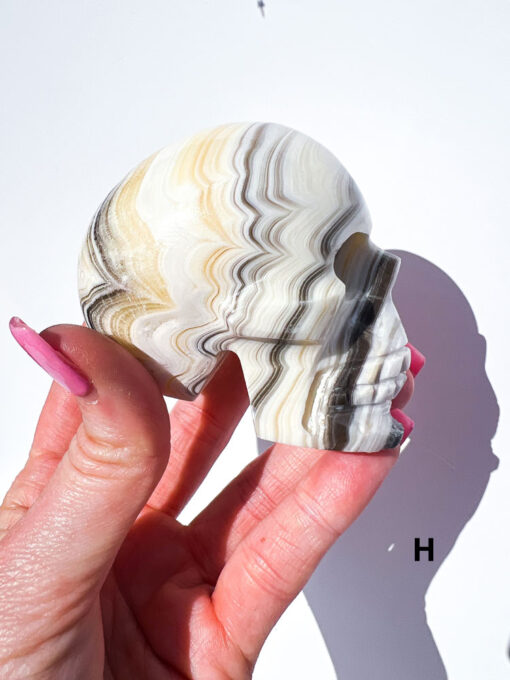 Zebra Calcite Skulls | F-J - Image 7