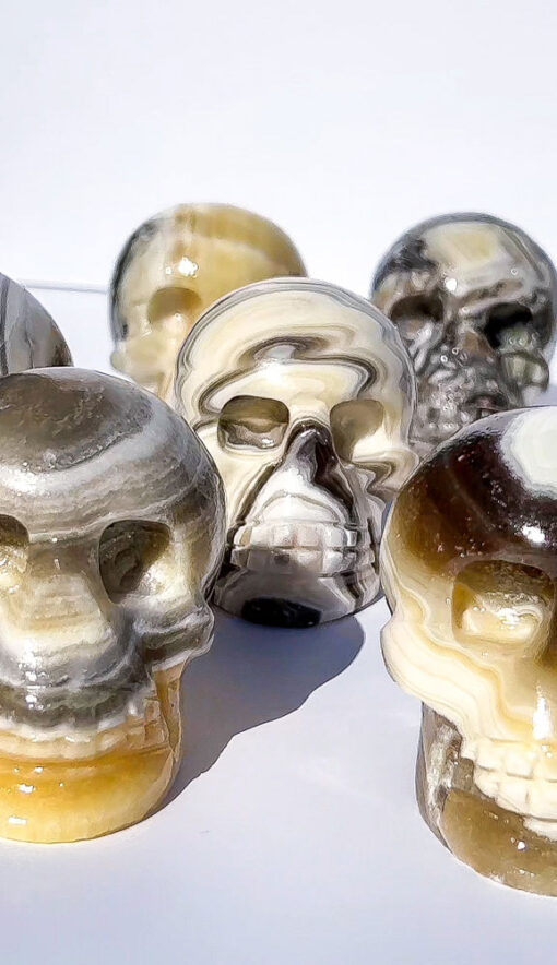 Zebra Calcite Skulls | P-R