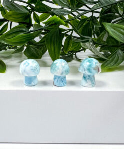 Larimar mushrooms