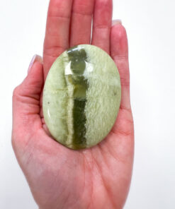 Green Jade palm