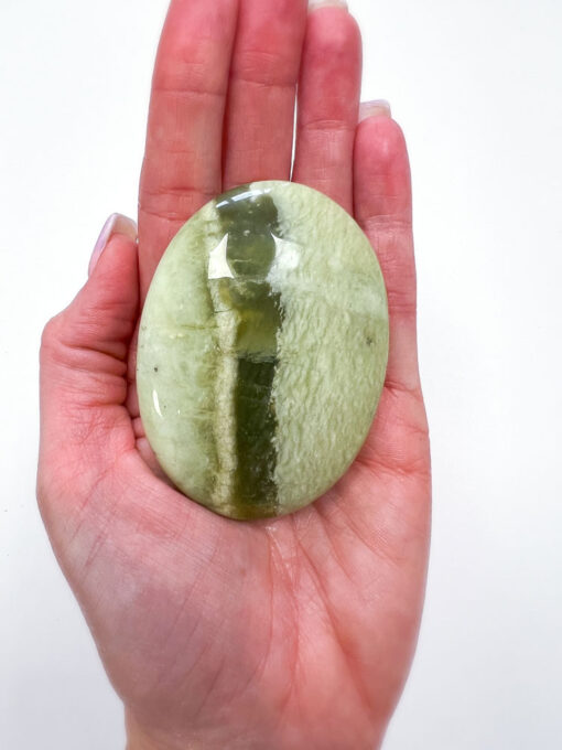 Green Jade palm