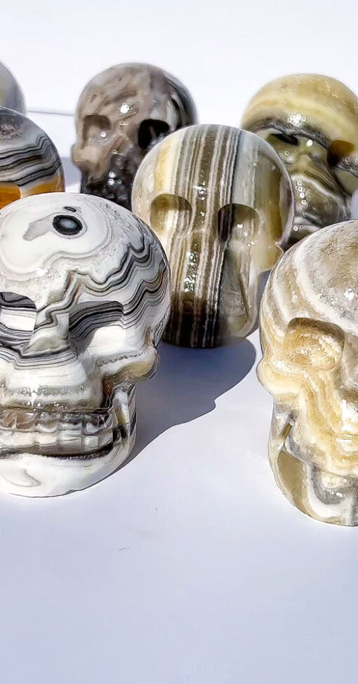 Zebra Calcite Skulls | K-O