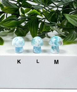 Larimar mushrooms