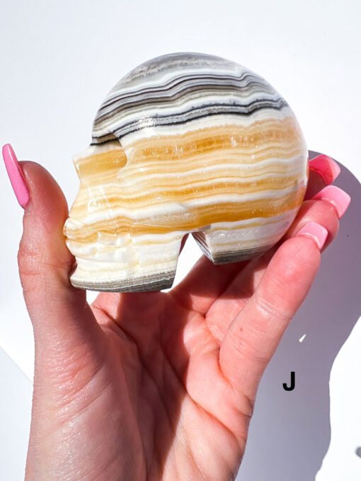 Zebra Calcite Skulls | F-J - Image 14