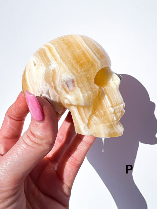 Zebra Calcite Skulls | P-R - Image 3