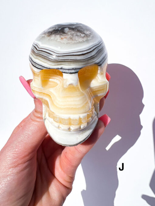 Zebra Calcite Skulls | F-J - Image 15