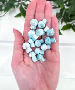 Larimar mushrooms