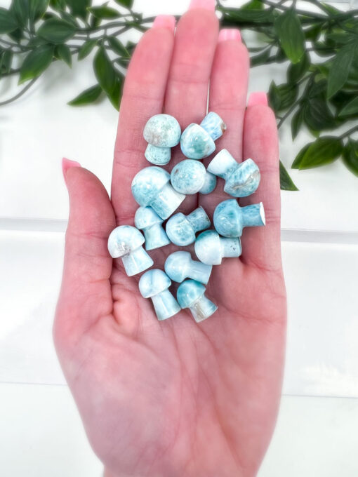 Larimar mushrooms