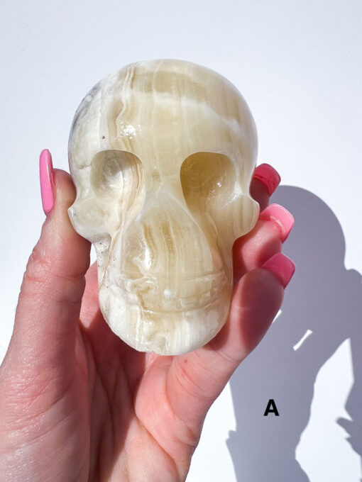 Zebra Calcite Skulls | A-E - Image 3