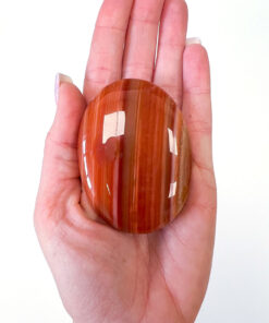 Carnelian palm