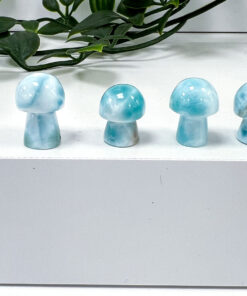 Larimar mushrooms