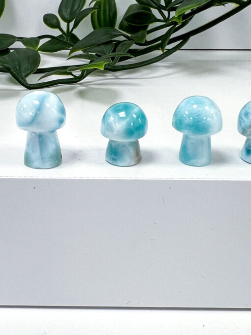 Larimar mushrooms