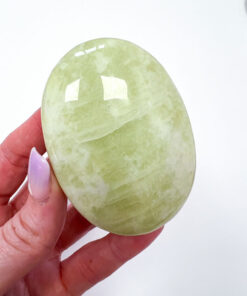 Green Jade palm