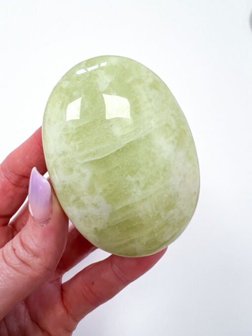 Green Jade palm