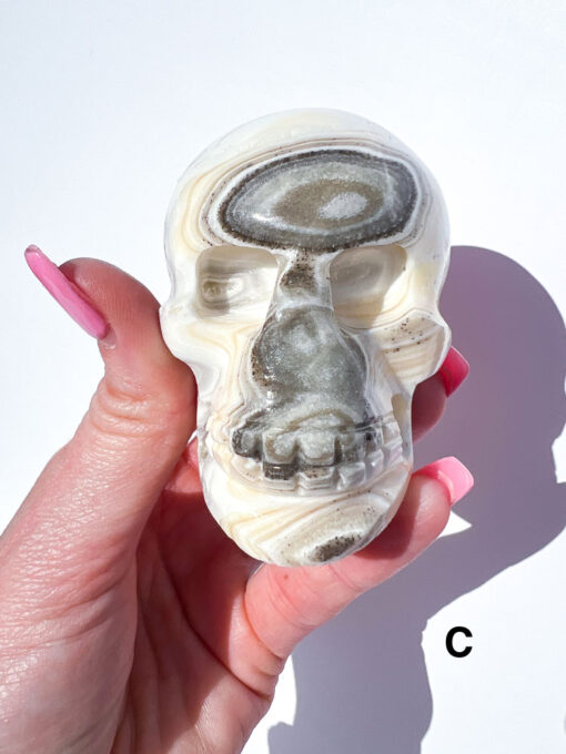 Zebra Calcite Skulls | A-E - Image 10