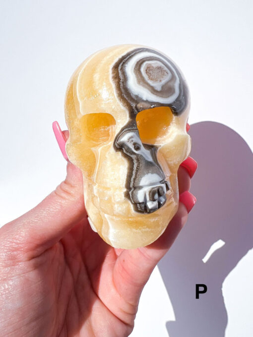 Zebra Calcite Skulls | P-R - Image 4