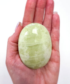 Green Jade palm