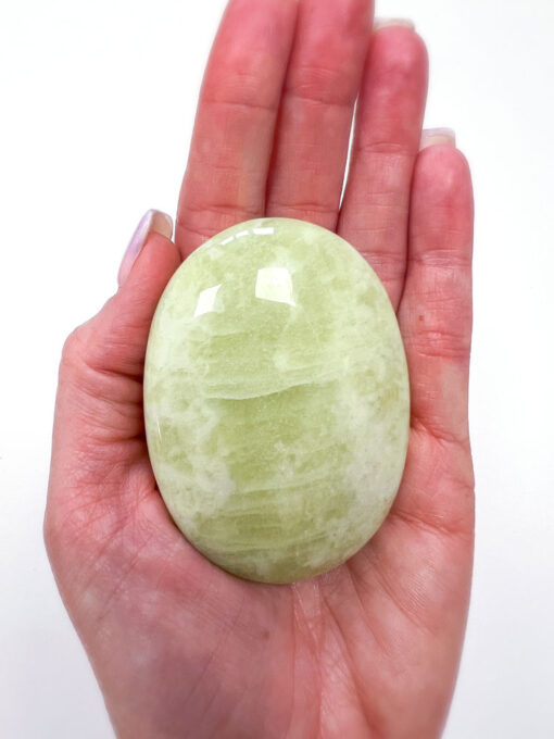 Green Jade palm